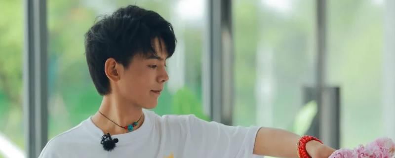 中餐厅|中餐厅第五季丁真是常驻吗