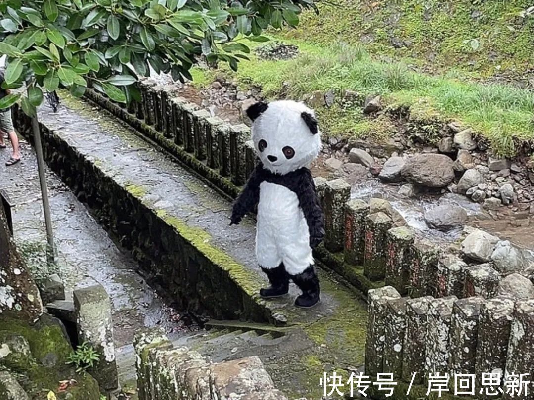 T社|T社又来恶搞动漫真人电影:鬼灭四部曲后,轮到《咒术回战》