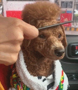 |搞笑GIF: 看着都觉得尴尬 下次就别在这种场合秀身材了