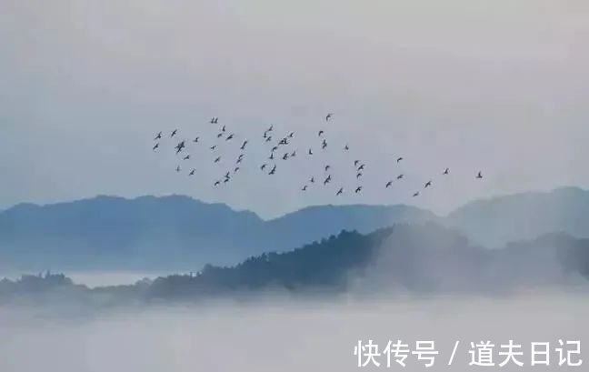 山河|「燕赵诗人」张雷：惯凭诗酒邀明月，未向山河立寸功