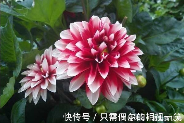 积阴德|俗话说人在做,天在看,多做4件积德事,晚年必将长寿又多福!