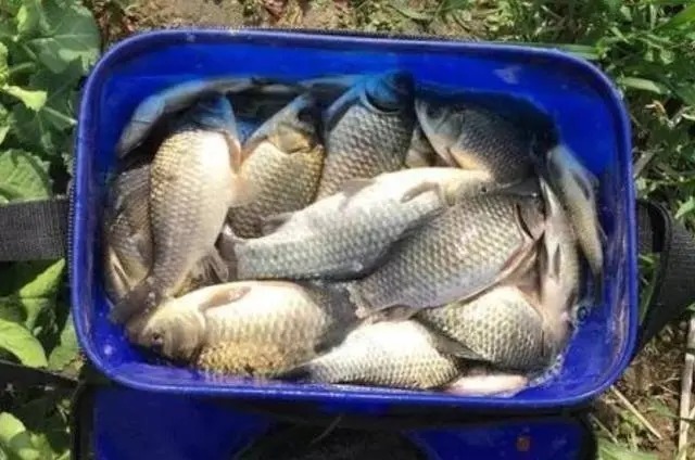 鱼口|冷天钓鱼时,需要用到的6个调整技能,助你钓大鱼