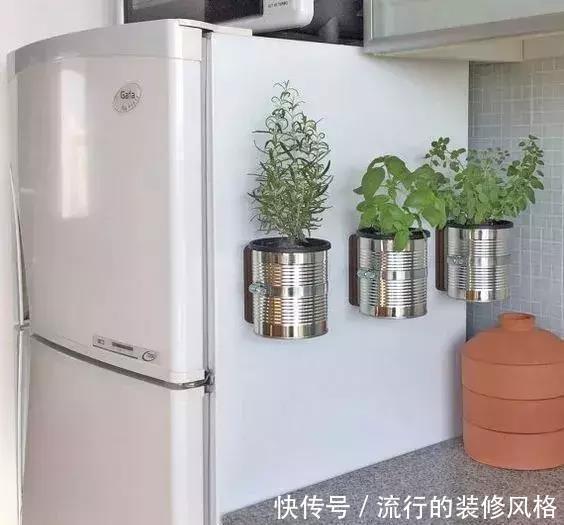 花盆还在买?一找一大堆,1毛钱不花,比买的花盆还要好