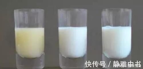 母乳|母乳被放大1000倍,在显微镜下“活了”,纯净程度不一般