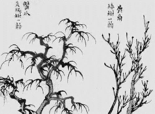 竹林!中国画如何画松树、丛树、柳树、竹林,中国画树的画法大全