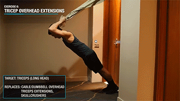 肌肉|一套完整实用的「居家健身」指南,0器械练遍全身肌肉