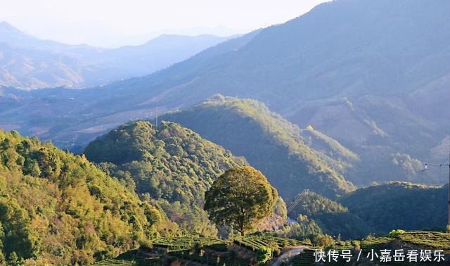 福建生态小镇，山连着山，水连着水，藏着一片世外桃源的茶山