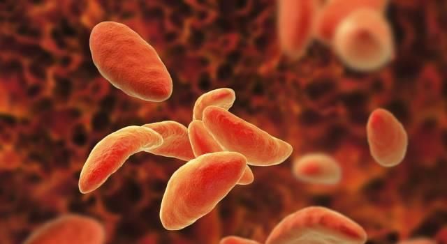 孕期|3年怀两胎都是畸形,这5种食物易致畸胎,孕期再馋也不能吃