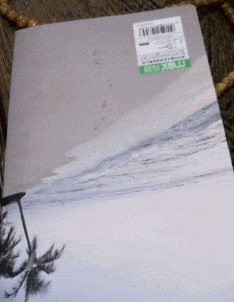 |搞笑GIF:厉害了,这样撩妹才叫帅!