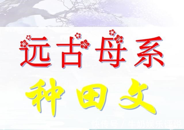 四颗星@推文穿越远古 母系社会 五星好评小说！