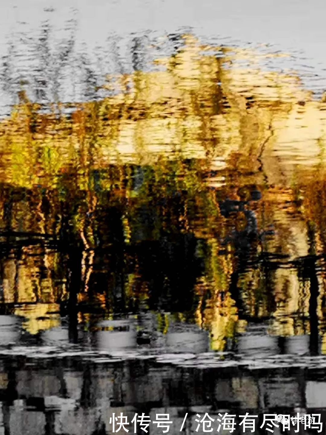 潮汕毒药,吃货天堂的美食江湖