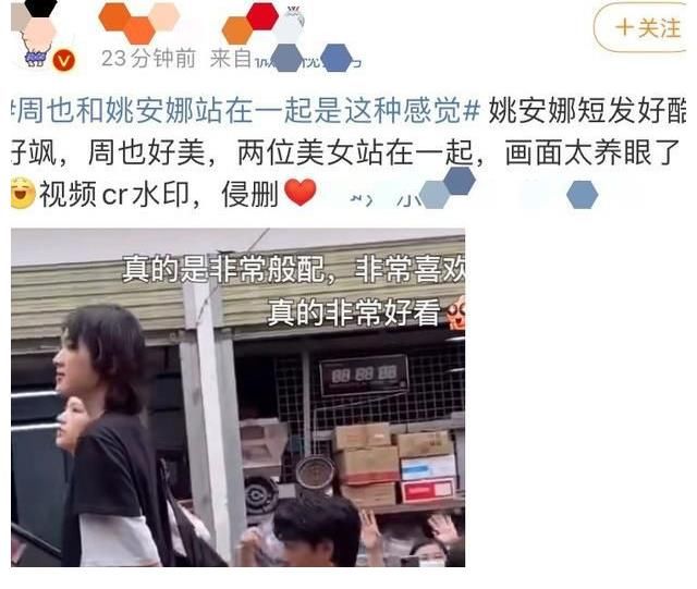 周也|龚俊粉丝可以放心了,姚安娜没和他炒CP,炒CP对象是周也