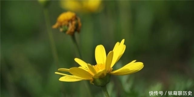 周易·系辞下|人生逆境时,学会逆来顺受,实为上策