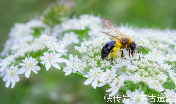 平步青云|下半月，吉星照耀，祥云笼罩，事业平步青云，日子乐开花的3星座