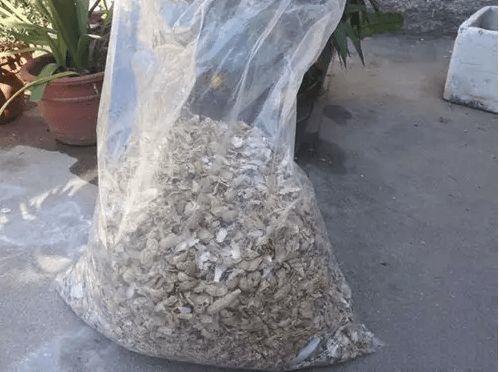 4种垃圾不会分类别担心,埋在花盆底,叶子绿得直滴油!