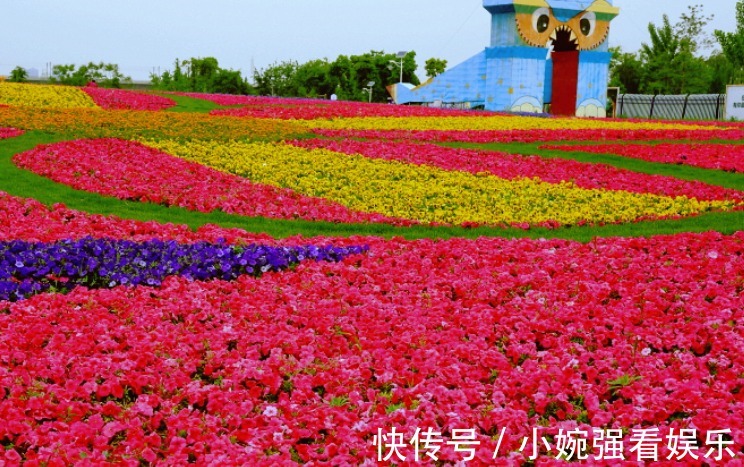 花季|洛阳“爱情”庄园，占地6000亩，超美花海、钢琴餐厅一应俱全