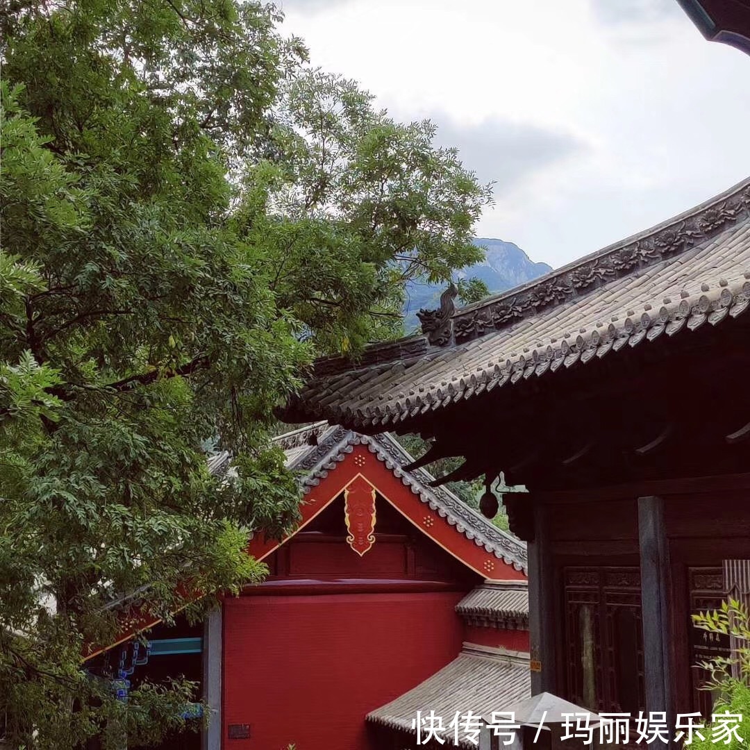 步行三十里去寺院，却因一顿素斋大闹，她竟说出吃素的真正意义！