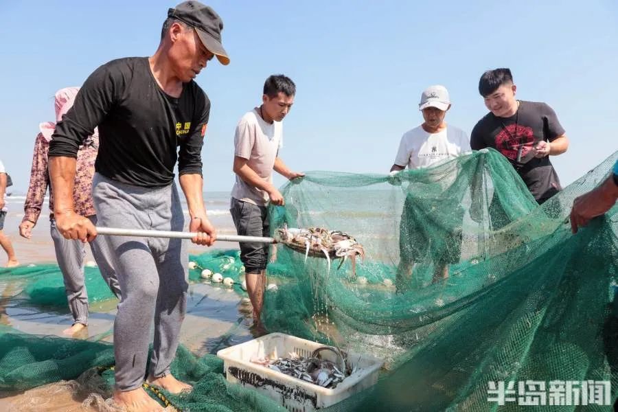 麻袋|青岛崂山水库开闸放水，一群一群的花鲢鱼冲下河！一条二三十斤重，有人成麻袋往家搬