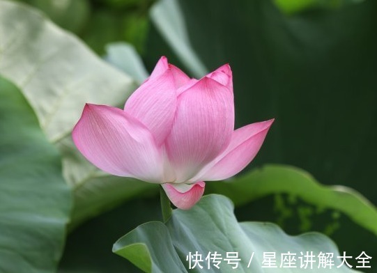 金生水相生局|到了2022年,4属相吉星关照,日子顺心,生活越来越如意