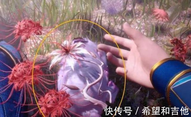 仙品|斗罗大陆唐三用蓝银皇给小舞建窝，用仙品花草喂食，小舞变胖！
