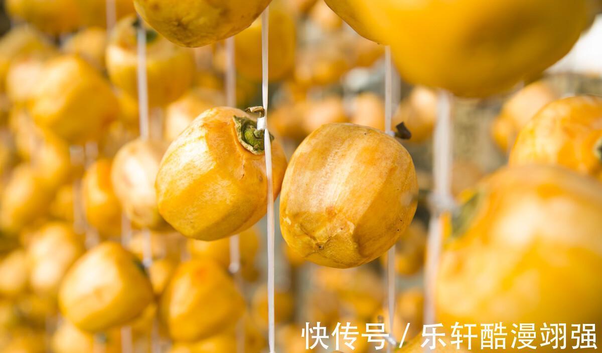 果实|这6种果实晒干后,比新鲜的好吃,嚼劲十足有韧性,当小零食解馋
