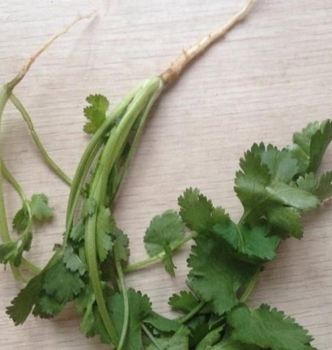 存放香菜,不要再放冰箱,20年大厨教你,不管多久都不坏