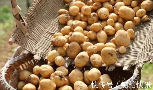 莲藕莲藕|糖尿病患者:少碰5菜,多喝2水,做好1事,血糖或许能慢慢稳定