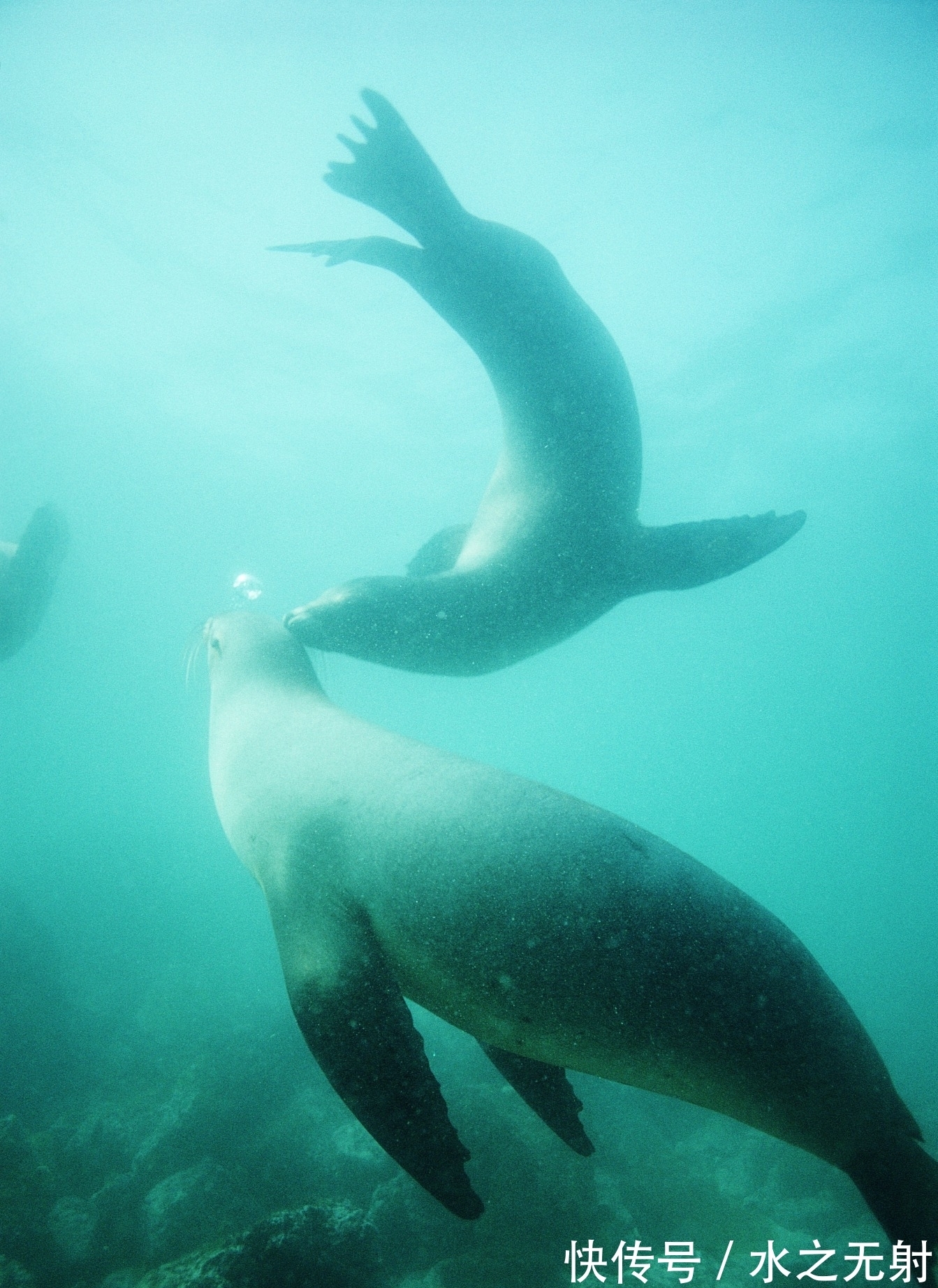 礼教@鲁迅——《狂人日记》