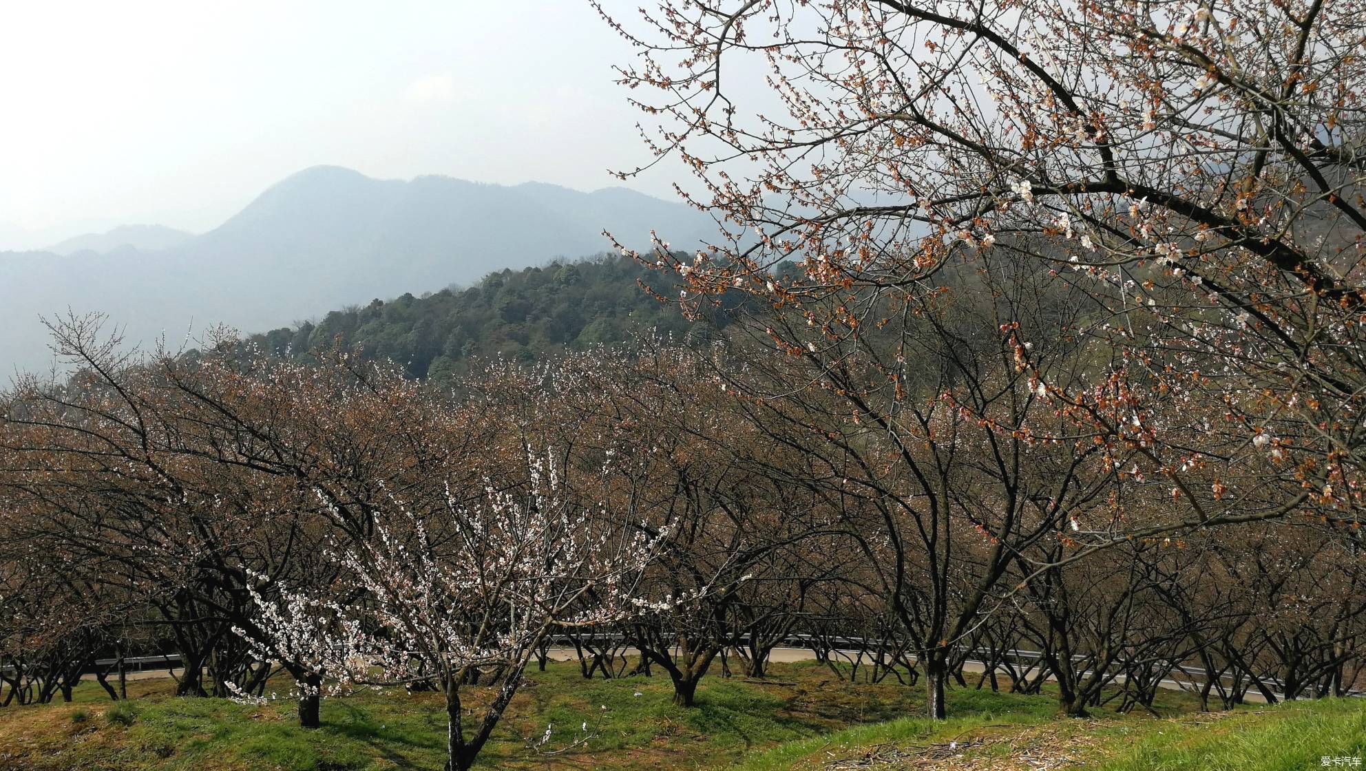 重游大坪山