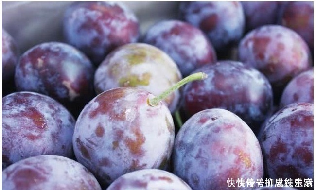 血气|最养女人的水果,每天吃上两个,补血气抗衰老,美容养颜