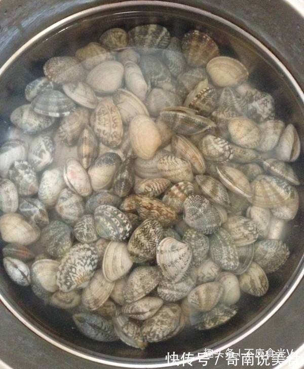 炒花甲时别着急先焯水,多加一步“它”,肉质鲜美,没有泥沙!