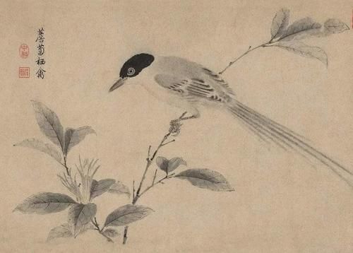 鉴赏｜写生珍禽图，宋代花鸟的典范