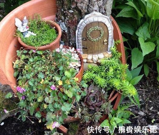 围栏|养多肉搭配什么样的花盆好?利用''碎花盆''造景,个个与众不同