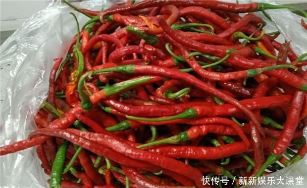 买红辣椒做豆瓣酱,掌握这几点,买到最好的辣椒,做出纯正豆瓣酱!