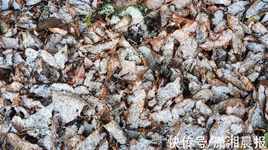 小雪初晴|小雪节气，张家界天门山现初雪身影