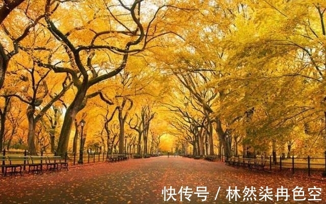 庄稼|“早立秋凉飕飕、晚立秋热死牛”，明天立秋，今夏还要热多久？