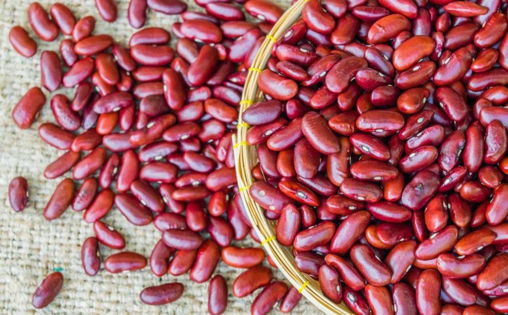 小米粥|立秋后,红豆和此物一起煮,头发黑了,睡眠好了,皮肤变得更细腻