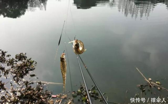 冬季夜钓|入冬后还能夜钓吗?只要不怕冷,夜钓就能带给你惊喜--皇禾钓具