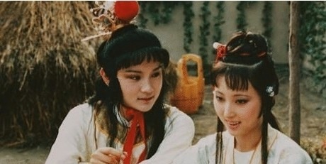 黛玉@黛玉和宝钗谁适合做宝玉媳妇?贾政早有选择,全在林妹妹这句话里