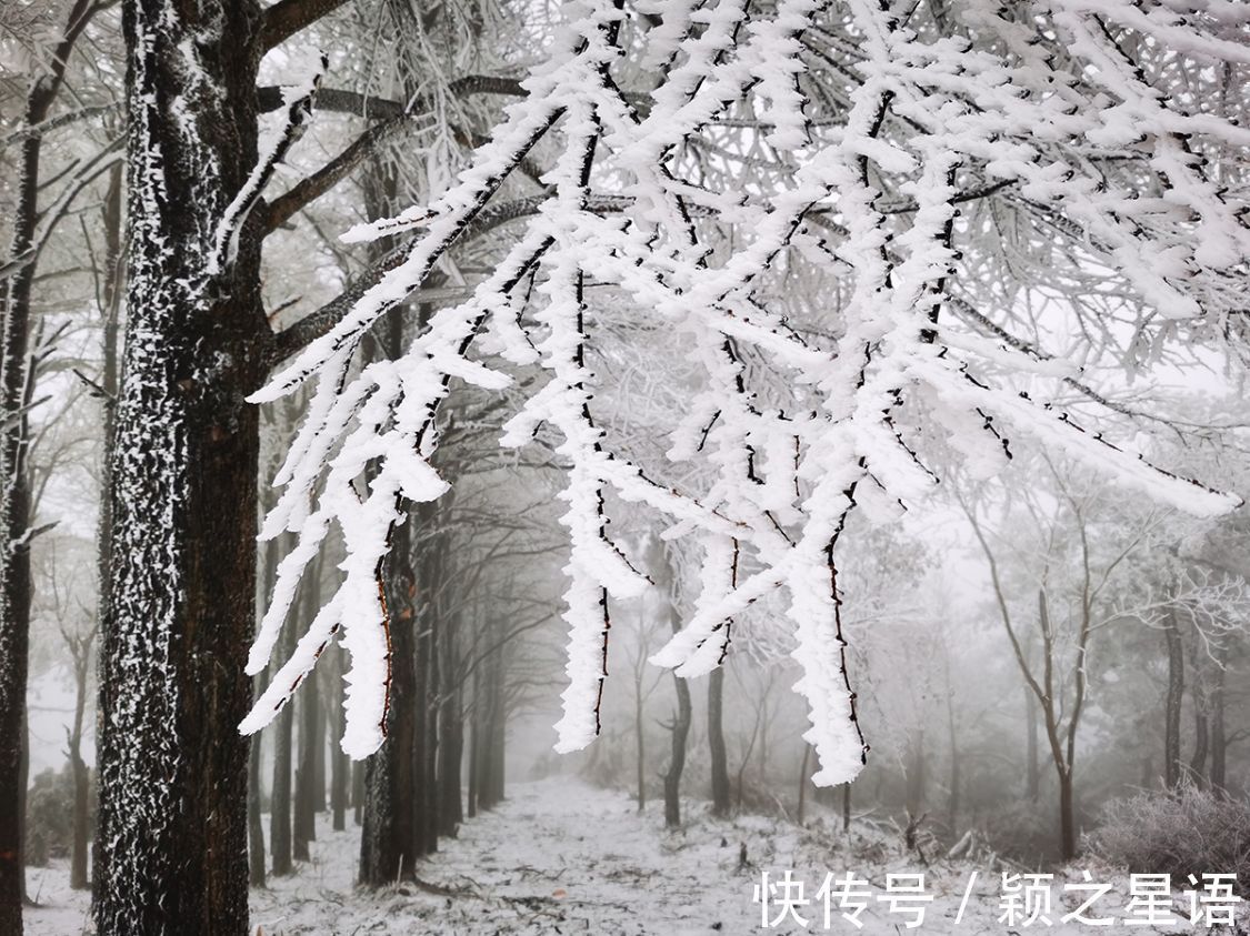 船山|宁波最高峰，冰雪奇缘，到底谁是NO.1