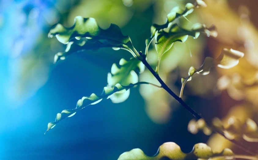 晴风|你以为的养生,其实是假的,真正的养生只有两个字