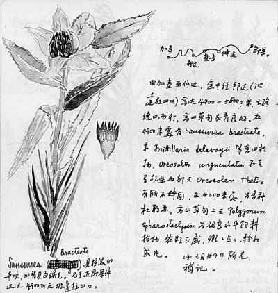 标本|一部诗意的、美学的科考手记