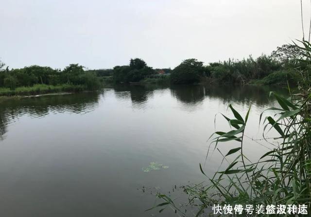 手竿|浅水好钓鱼,但这4件事你不可不知,弄错一件就与大鱼无缘