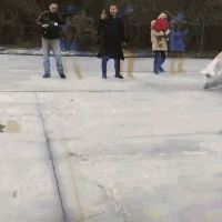 |搞笑GIF:有个这样的女友 肯定连五十都活不到