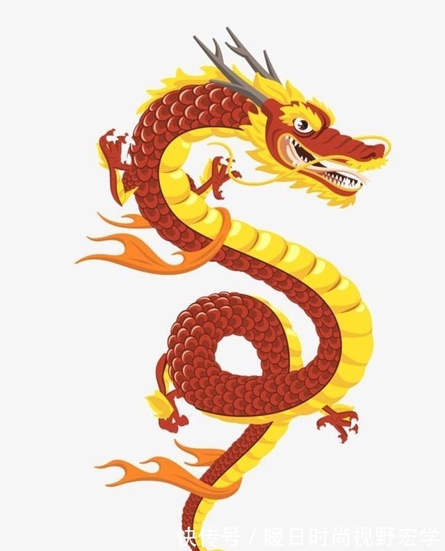 虚拟世界#龙是否存在? 明朝万历年间,海上渔民亲眼见证龙,被记载县志上