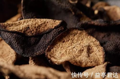 茯苓|金元名医朱丹溪神通广大的方子!祛湿气,化痰浊,消积食,通宿便