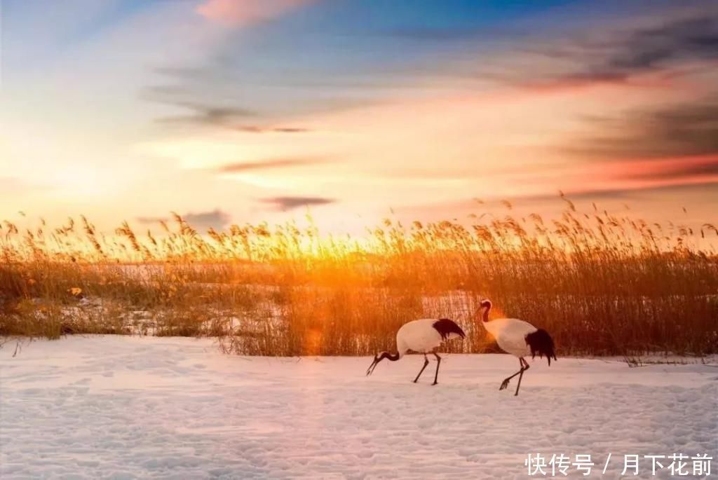 诗词|中国历史上影响最大的10首诗，惊艳千古，中国人必读古典文学与诗词今天