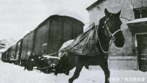 司机|慈禧第一次坐火车提出3个要求,把司机给为难了,洋人嘲笑她无知