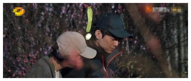 《向往5》凌晨两点去抢购,黄磊上演八大原谅,实力内涵节目组