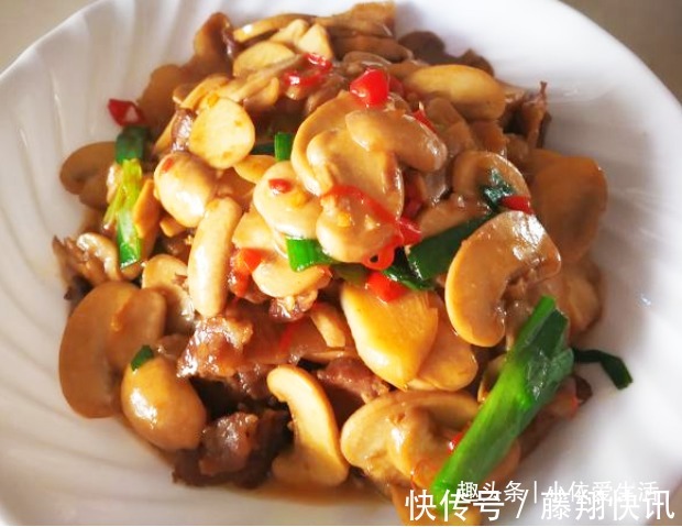 口蘑|教你几道小炒家常菜,简单快捷,好吃不贵,营养又实惠